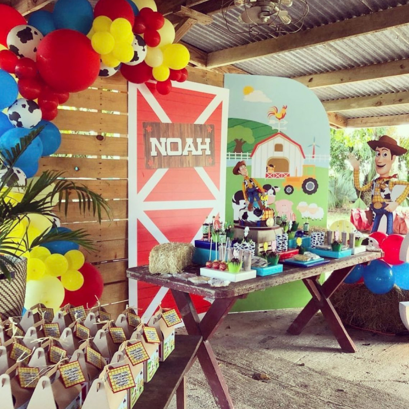 birthday Party Noah
