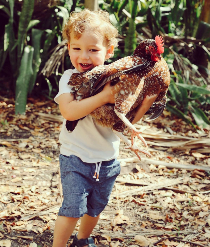 kid holding chicken