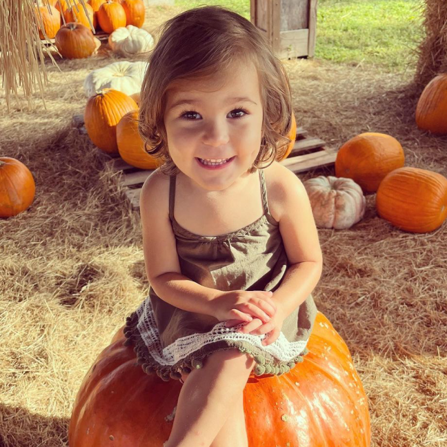 The Little Farm Miami Fall Festival
