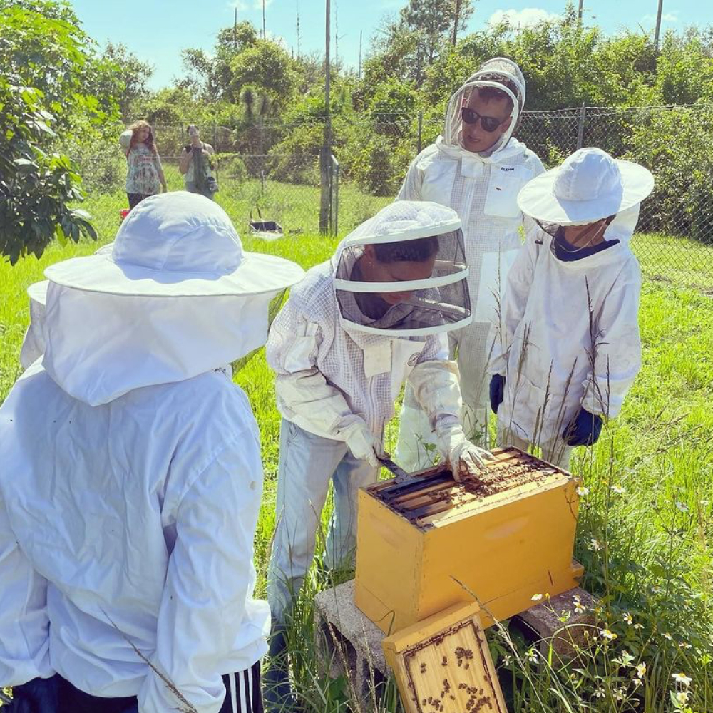 beekeeping