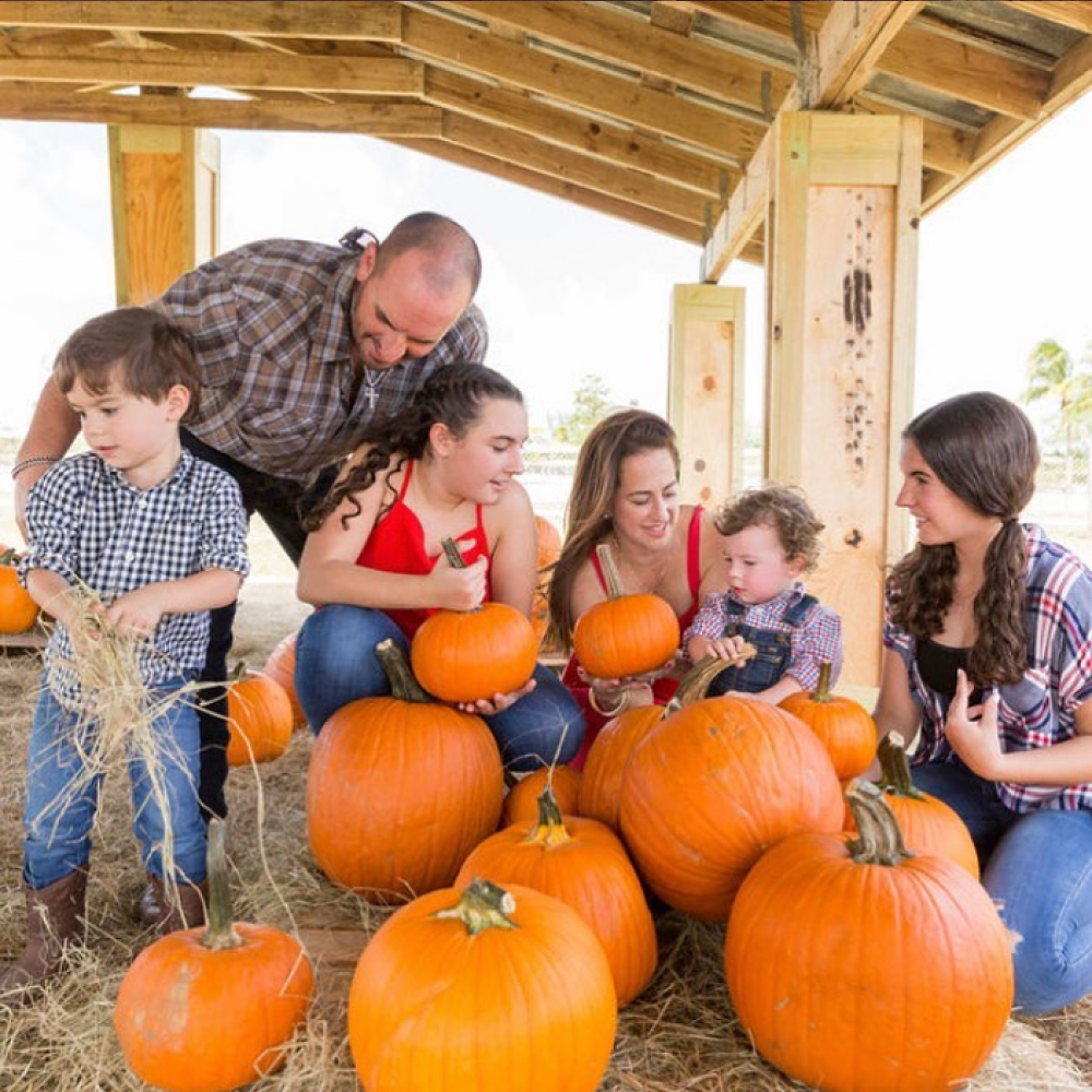 Family Time on the Farm