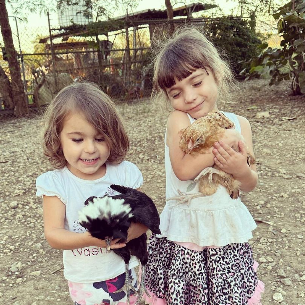 holdingAnimals Hands On Animal Experiences
